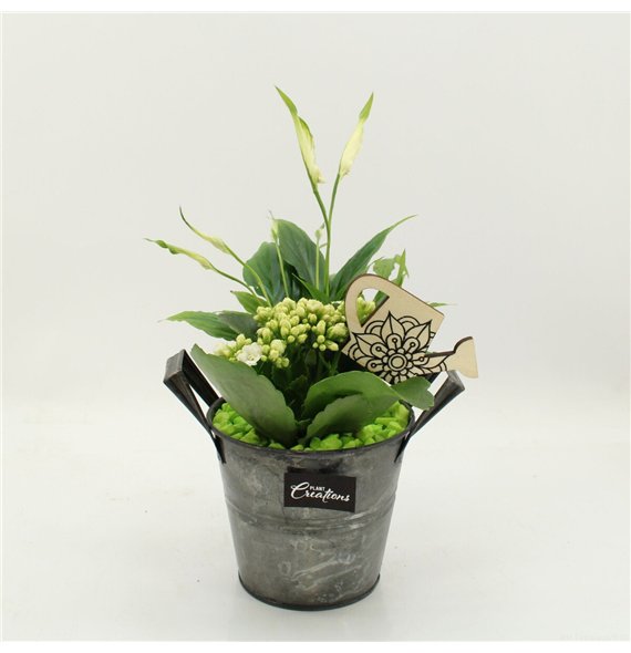 Nasad FDCR-2613GR Basic Fundamentals 2 pp 35cm 14cm Q586