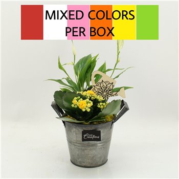 Nasad FDCR-2613M Basic Fundamentals 2 pp 35cm 14cm Q590