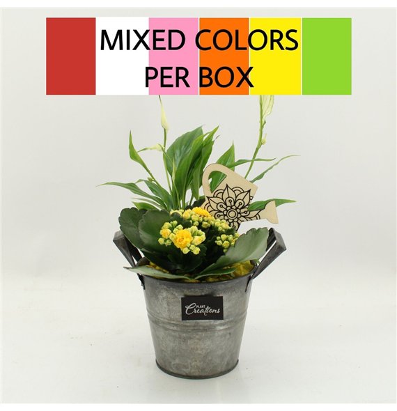 Nasad FDCR-2613M Basic Fundamentals 2 pp 35cm 14cm Q590