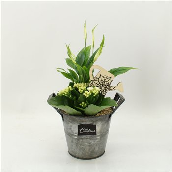 Nasad FDCR-2613W Basic Fundamentals 2 pp 35cm 14cm Q600