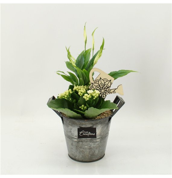 Nasad FDCR-2613W Basic Fundamentals 2 pp 35cm 14cm Q600