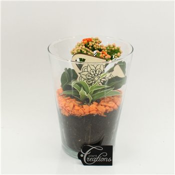 Nasad FDCR-2604OR Basic Fundamentals 2 pp 25cm 14cm Q604