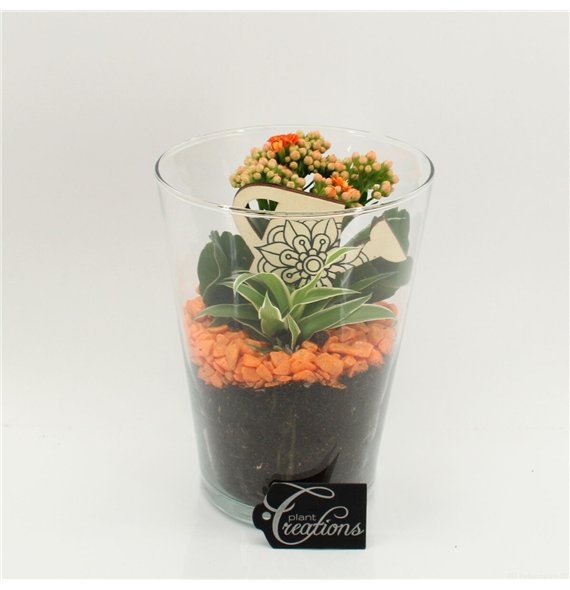 Nasad FDCR-2604OR Basic Fundamentals 2 pp 25cm 14cm Q604