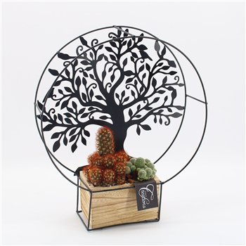 Nasad cactus CTCR-2617 Kaktus Essentials 2 pp 41cm 29cm Q938