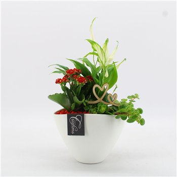 Nasad FDRM-2610R Romantic Fundamentals 3 pp 40cm 18cm Q552