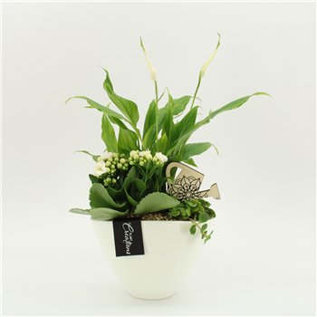 Nasad FDCR-2610W Basic Fundamentals 3 pp 40cm 18cm Q554