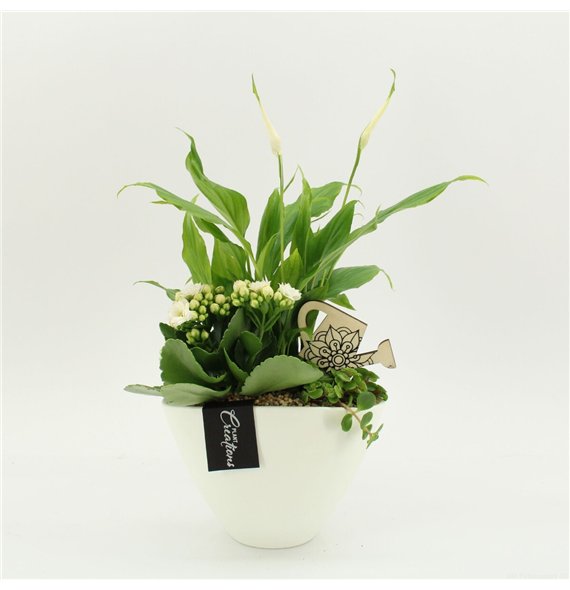 Nasad FDCR-2610W Basic Fundamentals 3 pp 40cm 18cm Q554