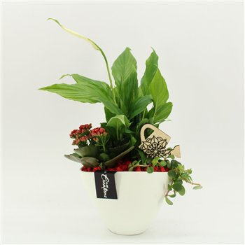 Nasad FDCR-2610R Basic Fundamentals 3 pp 40cm 18cm Q558