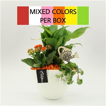 Nasad FDCR-2610M Basic Fundamentals 3 pp 40cm 18cm Q559