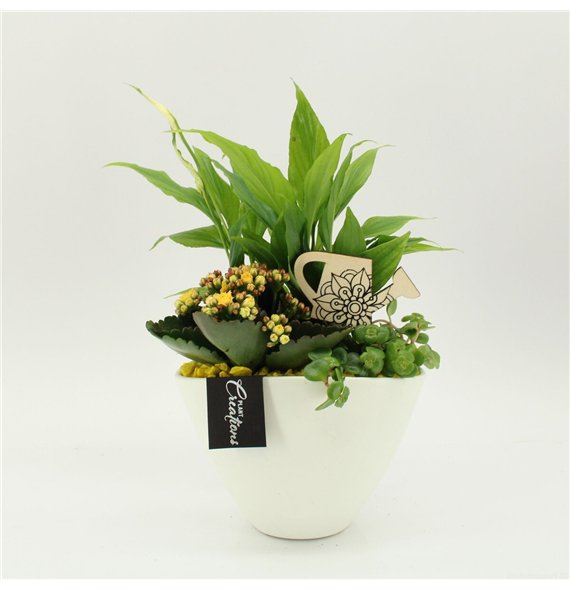 Nasad FDCR-2610G Basic Fundamentals 3 pp 40cm 18cm Q560