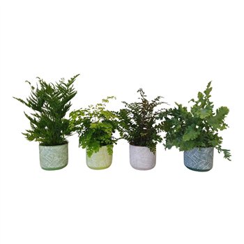 Varens mix Varenmix in ceramic BGC00935 cm diameter 40cm 12cm Q5140