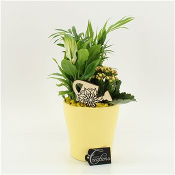 Nasad FDCR-2608G Basic Fundamentals 3 pp 40cm 14cm Q532