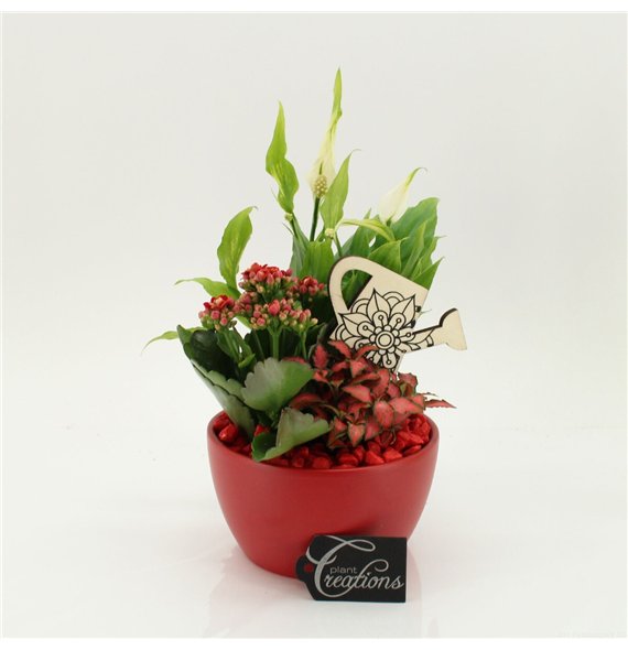 Nasad FDCR-2607R Basic Fundamentals 3 pp 35cm 14cm Q548