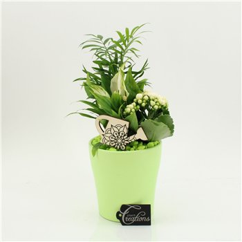 Nasad FDCR-2608GR Basic Fundamentals 3 pp 40cm 14cm Q549