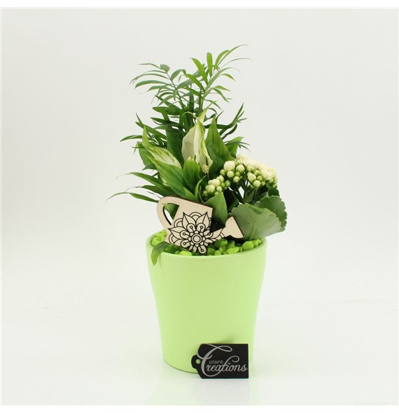 Nasad FDCR-2608GR Basic Fundamentals 3 pp 40cm 14cm Q549