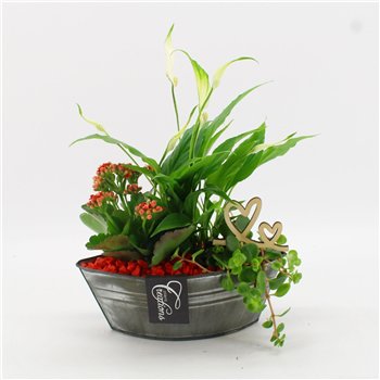 Nasad FDRM-2614R Romantic Fundamentals 3 pp 35cm 22cm Q565