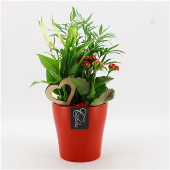 Nasad FDRM-2608R Romantic Fundamentals 3 pp 40cm 14cm Q571