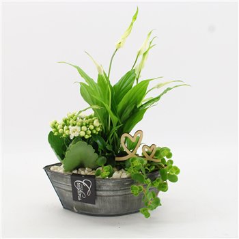 Nasad FDRM-2614W Romantic Fundamentals 3 pp 35cm 22cm Q573