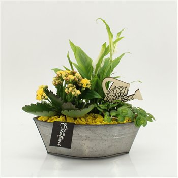 Nasad FDCR-2614G Basic Fundamentals 3 pp 35cm 22cm Q579