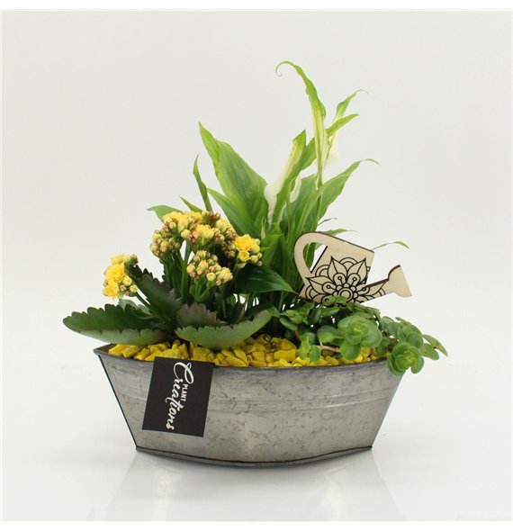 Nasad FDCR-2614G Basic Fundamentals 3 pp 35cm 22cm Q579