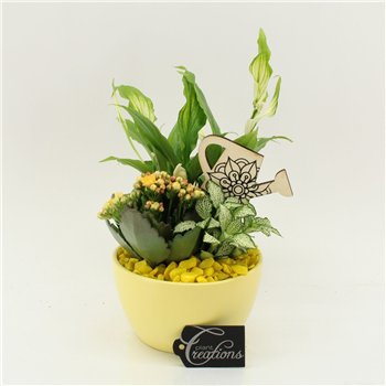 Nasad FDCR-2607G Basic Fundamentals 3 pp 35cm 14cm Q580