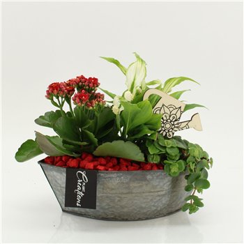 Nasad FDCR-2614R Basic Fundamentals 3 pp 35cm 22cm Q583