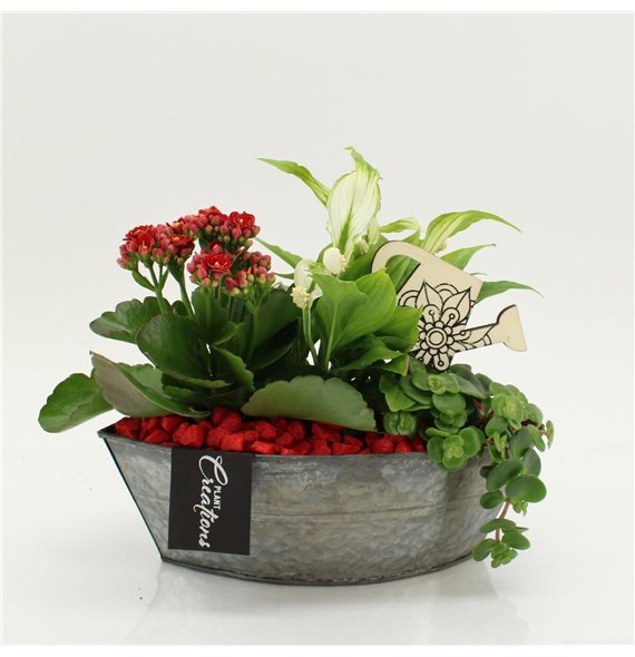 Nasad FDCR-2614R Basic Fundamentals 3 pp 35cm 22cm Q583