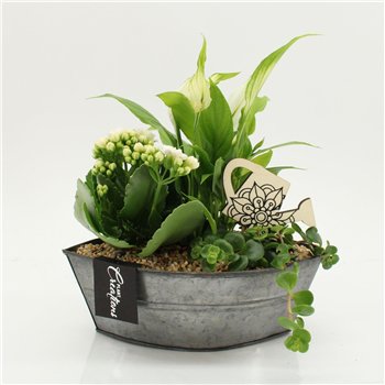 Nasad FDCR-2614W Basic Fundamentals 3 pp 35cm 22cm Q587