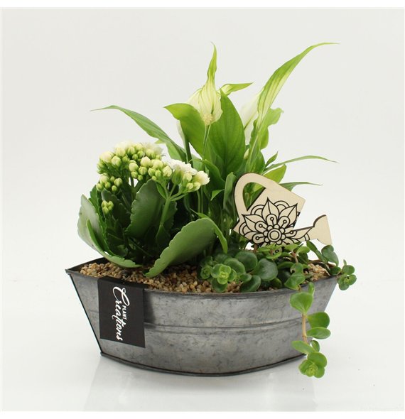 Nasad FDCR-2614W Basic Fundamentals 3 pp 35cm 22cm Q587