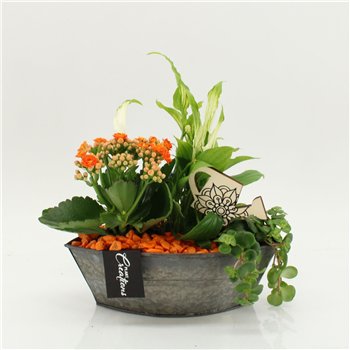 Nasad FDCR-2614OR Basic Fundamentals 3 pp 35cm 22cm Q588