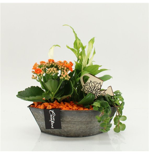 Nasad FDCR-2614OR Basic Fundamentals 3 pp 35cm 22cm Q588