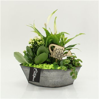 Nasad FDCR-2614GR Basic Fundamentals 3 pp 35cm 22cm Q589