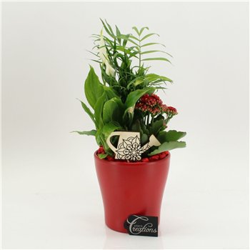 Nasad FDCR-2608R Basic Fundamentals 3 pp 40cm 14cm Q591