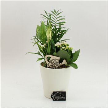 Nasad FDCR-2608W Basic Fundamentals 3 pp 40cm 14cm Q593