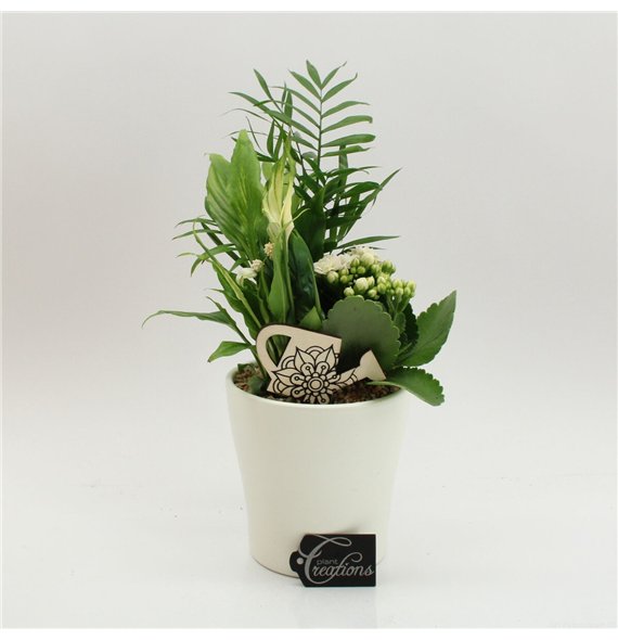 Nasad FDCR-2608W Basic Fundamentals 3 pp 40cm 14cm Q593