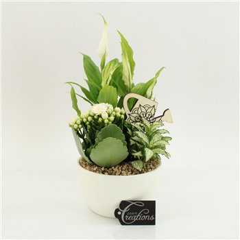 Nasad FDCR-2607W Basic Fundamentals 3 pp 35cm 14cm Q594