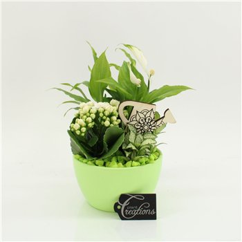 Nasad FDCR-2607GR Basic Fundamentals 3 pp 35cm 14cm Q595