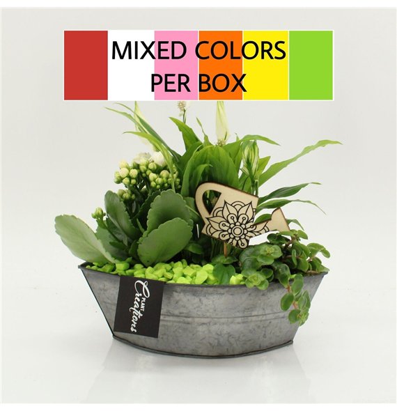 Nasad FDCR-2614M Basic Fundamentals 3 pp 35cm 22cm Q601