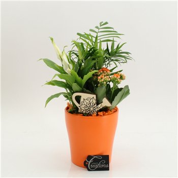 Nasad FDCR-2608OR Basic Fundamentals 3 pp 40cm 14cm Q602