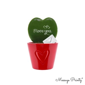 Hoya kerrii Message Printz  I Love You with ceramic Boston Rood 1 pp 10cm 7cm Q2529