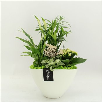 Nasad FDCR-2611GR Basic Fundamentals 4 pp 45cm 21cm Q646