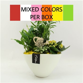 Nasad FDCR-2611M Basic Fundamentals 4 pp 45cm 21cm Q648