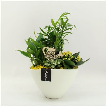 Nasad FDCR-2611G Basic Fundamentals 4 pp 45cm 21cm Q649