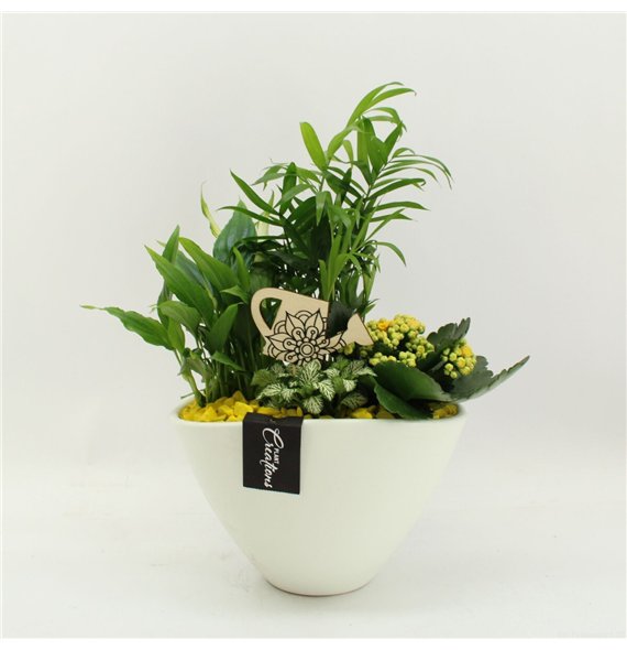 Nasad FDCR-2611G Basic Fundamentals 4 pp 45cm 21cm Q649