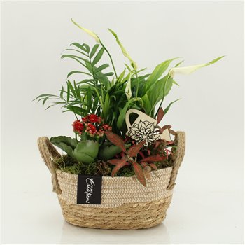 Nasad FDCR-2618R Basic Fundamentals 4 pp 40cm 24cm Q657