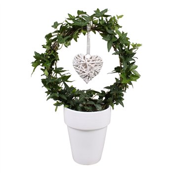 Hedera helix green arc+hart in keramiek40 - 44 cm 9 pp 40cm 13cm Q2876