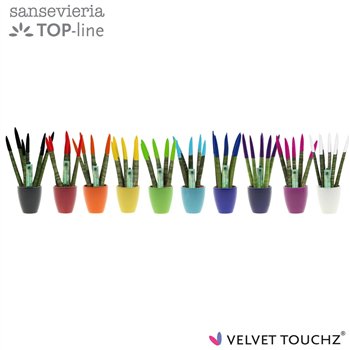 Taščin jezik - Sanseveria cylindrica VELVET TOUCHZ® Mix in ceramic Osaka 18cm 6cm Q1695