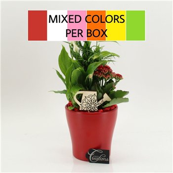 Nasad FDCR-2608M Basic Fundamentals 3 pp 40cm 14cm Q519