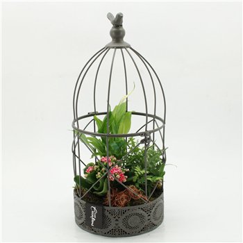 Nasad ESCR-2623RZ Essentials 3 pp 51cm 21cm Q4739