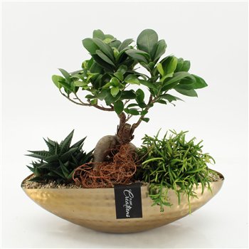 Nasad GRCR-2670 Green Essentials 3 pp 40cm 35cm Q4744